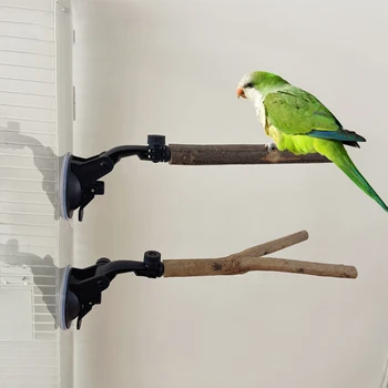 25cm Papūga Ešeriai Stendas Su siurbtukas Reguliuojamas Dizainas, Greitas Montavimas Paukštis Narve Reikmenys Kakadu Papūga Macaw